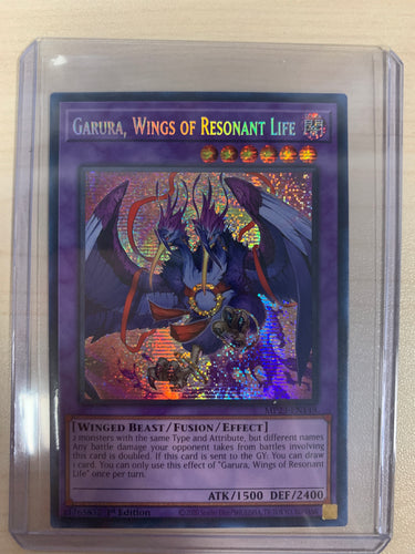 Garura, Wings of Resonant Life